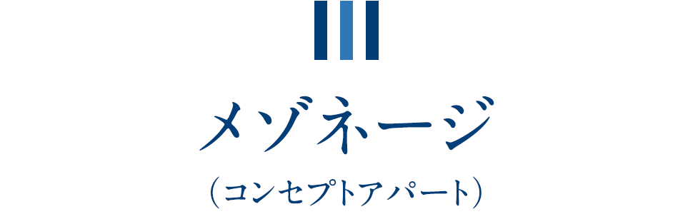 メゾネージ（コンセプトアパート）